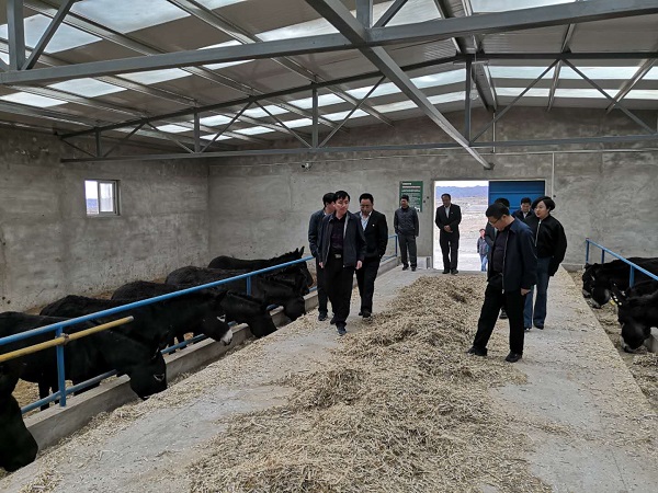 201911291574992930532260.jpg 白银平川区2.jpg