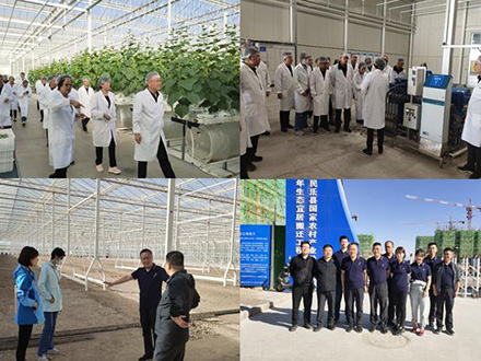 金控张掖担保举办“保市场主体、抓项目落实、重责任担当”主题党日活动